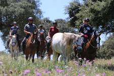 Portugal-Alto Alentejo-Royal Horse Trails